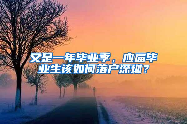 又是一年毕业季，应届毕业生该如何落户深圳？