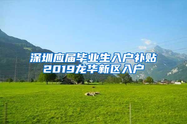 深圳应届毕业生入户补贴2019龙华新区入户