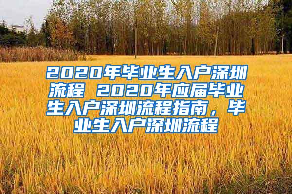 2020年毕业生入户深圳流程 2020年应届毕业生入户深圳流程指南，毕业生入户深圳流程