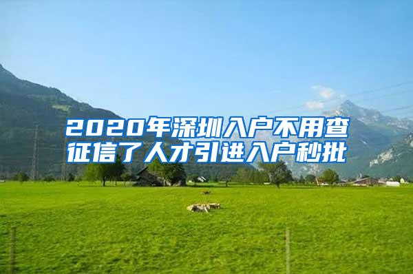 2020年深圳入户不用查征信了人才引进入户秒批