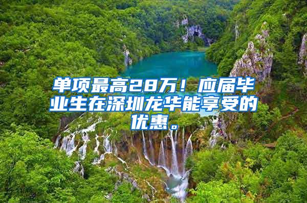 单项最高28万！应届毕业生在深圳龙华能享受的优惠。