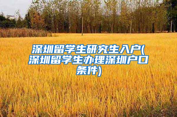 深圳留学生研究生入户(深圳留学生办理深圳户口条件)