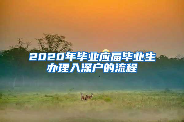 2020年毕业应届毕业生办理入深户的流程