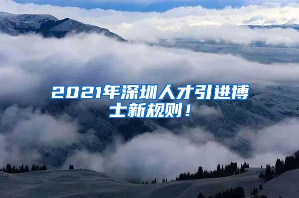 2021年深圳人才引进博士新规则！