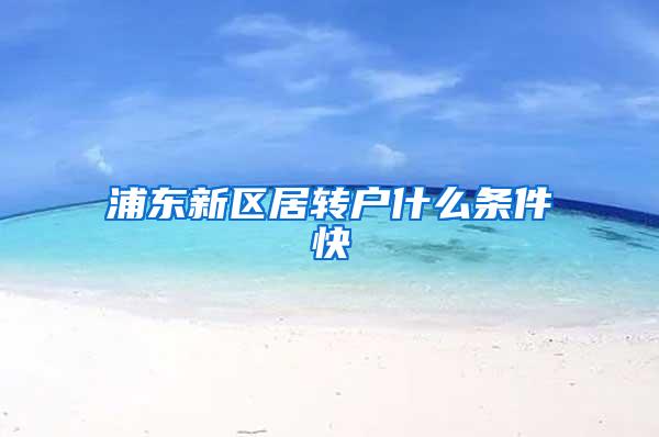 浦东新区居转户什么条件快