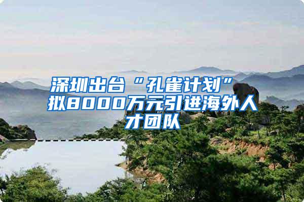 深圳出台“孔雀计划” 拟8000万元引进海外人才团队