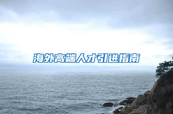 海外高端人才引进指南