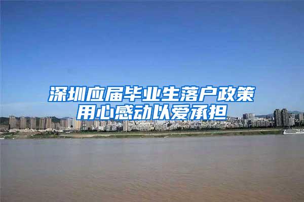 深圳应届毕业生落户政策用心感动以爱承担