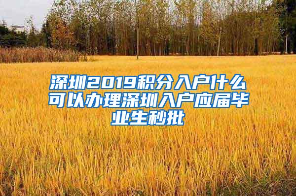 深圳2019积分入户什么可以办理深圳入户应届毕业生秒批