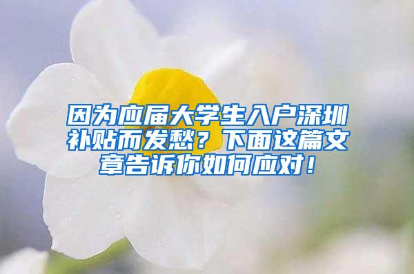 因为应届大学生入户深圳补贴而发愁？下面这篇文章告诉你如何应对！