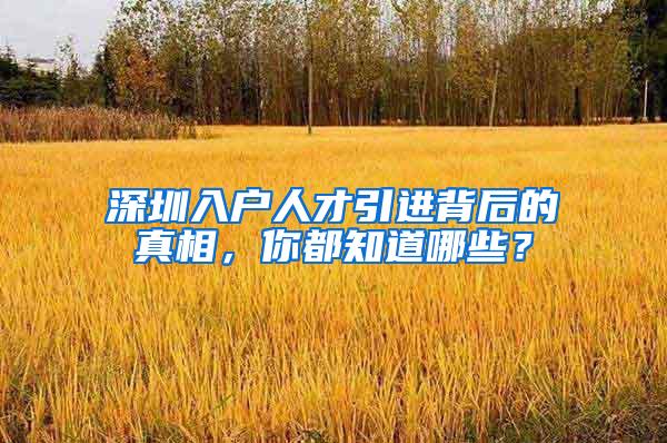 深圳入户人才引进背后的真相，你都知道哪些？