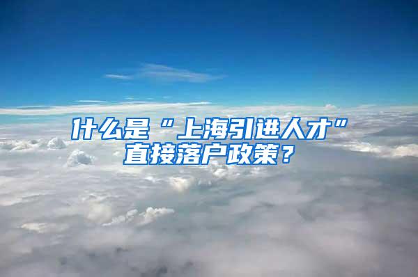 什么是“上海引进人才”直接落户政策？