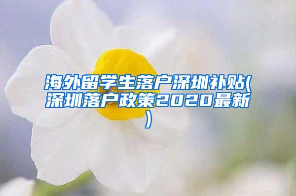 海外留学生落户深圳补贴(深圳落户政策2020最新)