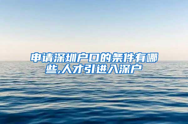 申请深圳户口的条件有哪些,人才引进入深户