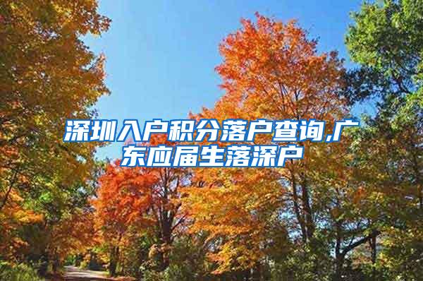 深圳入户积分落户查询,广东应届生落深户