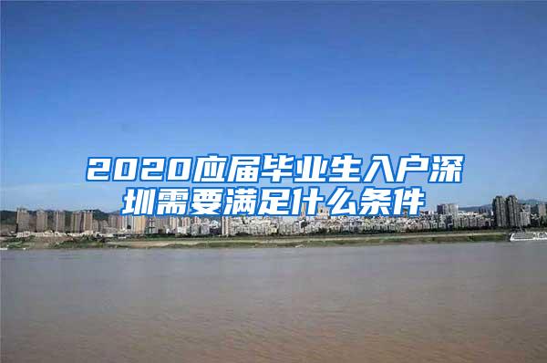 2020应届毕业生入户深圳需要满足什么条件