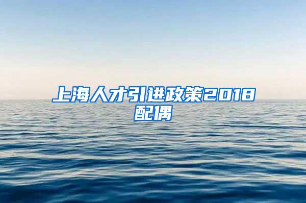 上海人才引进政策2018配偶