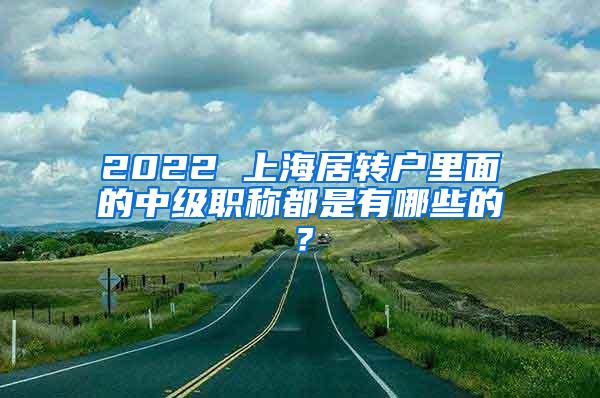 2022 上海居转户里面的中级职称都是有哪些的？