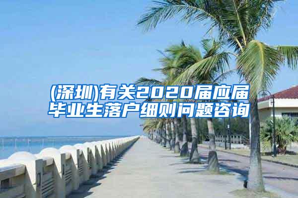 (深圳)有关2020届应届毕业生落户细则问题咨询