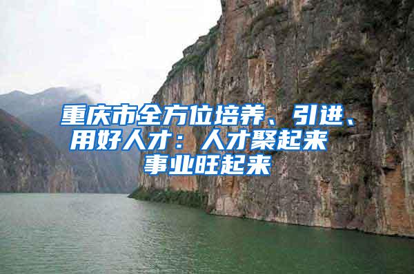 重庆市全方位培养、引进、用好人才：人才聚起来 事业旺起来