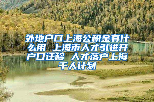 外地户口上海公积金有什么用 上海市人才引进开户口迁移 人才落户上海千人计划