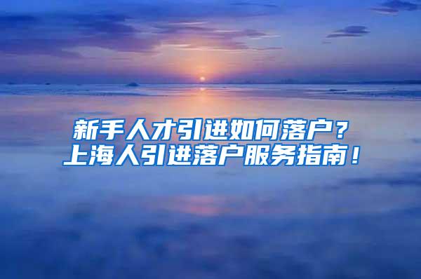 新手人才引进如何落户？上海人引进落户服务指南！