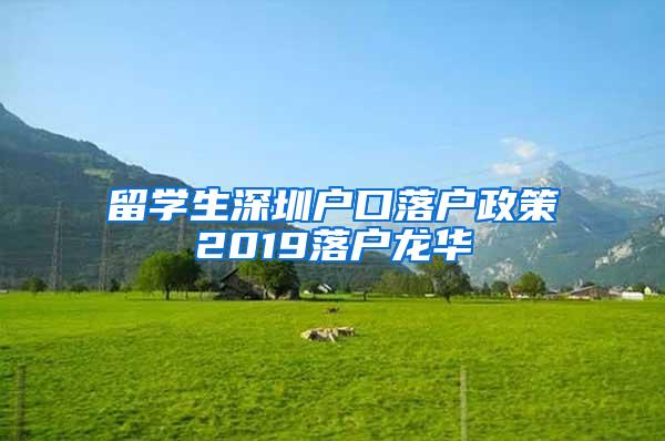 留学生深圳户口落户政策2019落户龙华