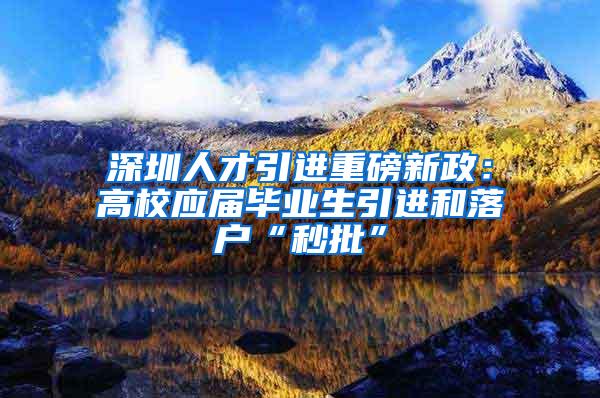 深圳人才引进重磅新政：高校应届毕业生引进和落户“秒批”