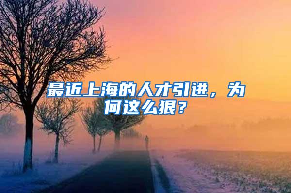 最近上海的人才引进，为何这么狠？