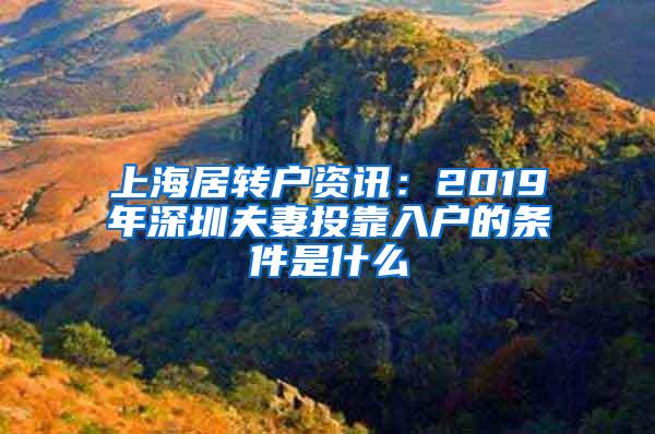 上海居转户资讯：2019年深圳夫妻投靠入户的条件是什么