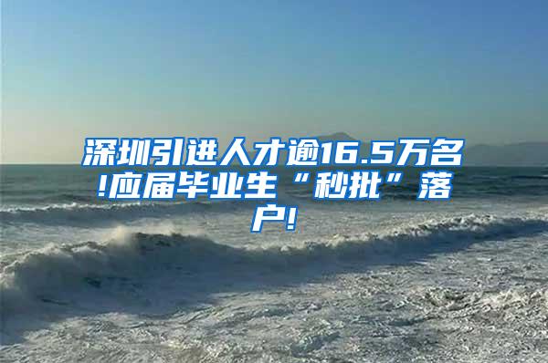 深圳引进人才逾16.5万名!应届毕业生“秒批”落户!