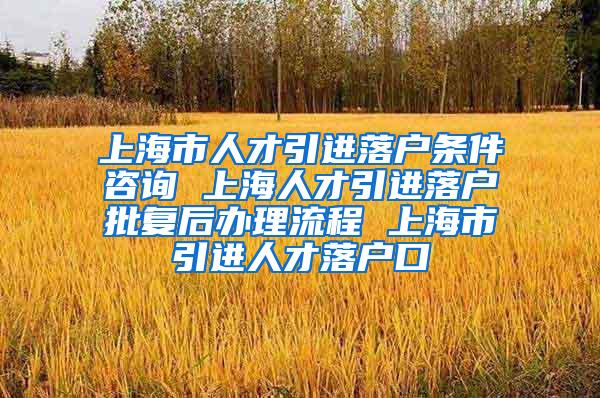 上海市人才引进落户条件咨询 上海人才引进落户批复后办理流程 上海市引进人才落户口