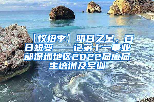 【校招季】明日之星，百日蜕变——记第十一事业部深圳地区2022届应届生培训及军训