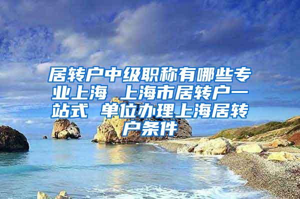 居转户中级职称有哪些专业上海 上海市居转户一站式 单位办理上海居转户条件