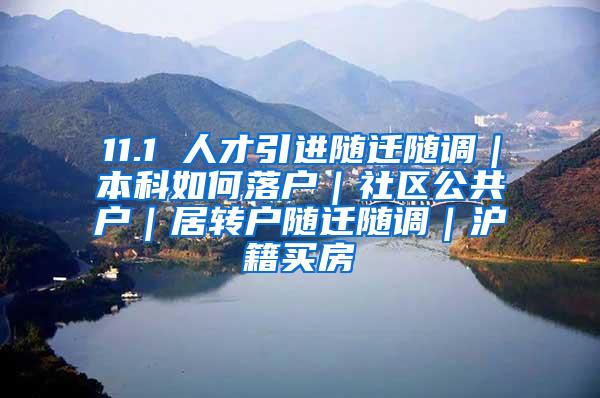 11.1 人才引进随迁随调｜本科如何落户｜社区公共户｜居转户随迁随调｜沪籍买房