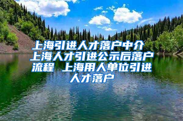 上海引进人才落户中介 上海人才引进公示后落户流程 上海用人单位引进人才落户