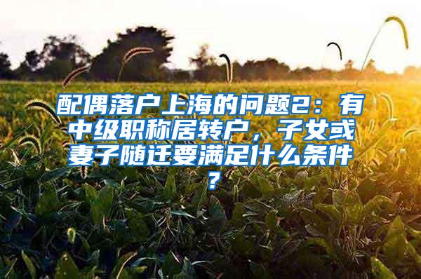 配偶落户上海的问题2：有中级职称居转户，子女或妻子随迁要满足什么条件？