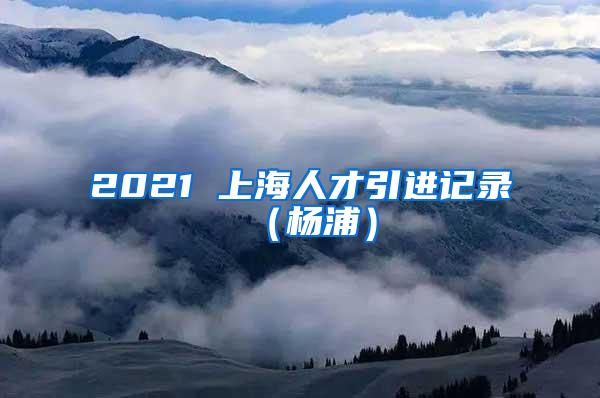 2021 上海人才引进记录（杨浦）