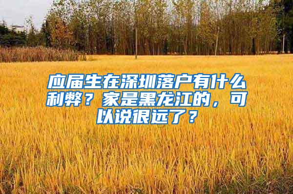 应届生在深圳落户有什么利弊？家是黑龙江的，可以说很远了？