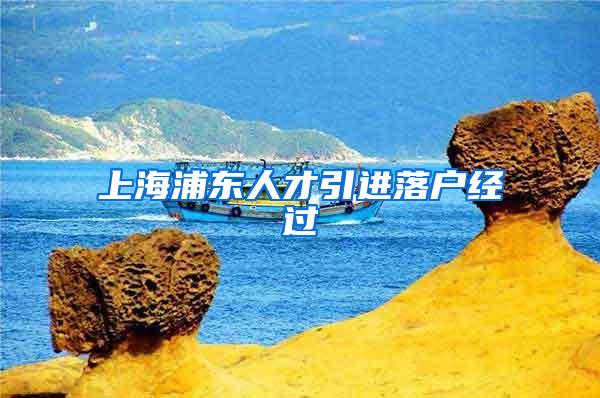 上海浦东人才引进落户经过