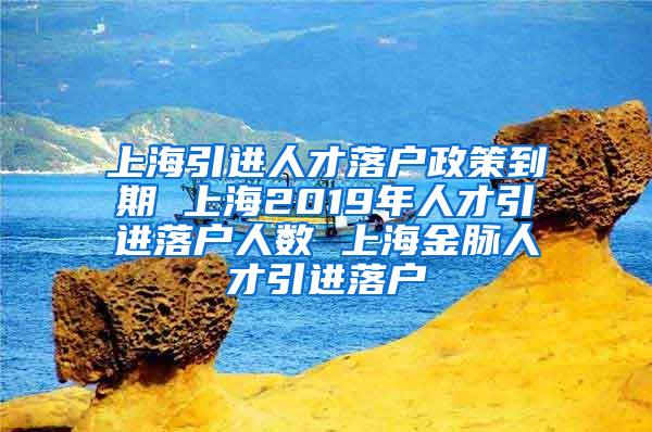 上海引进人才落户政策到期 上海2019年人才引进落户人数 上海金脉人才引进落户