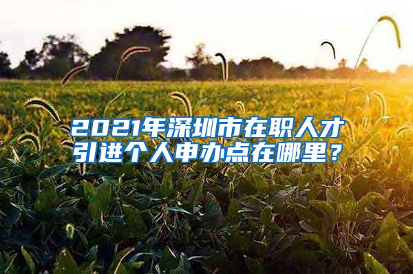 2021年深圳市在职人才引进个人申办点在哪里？