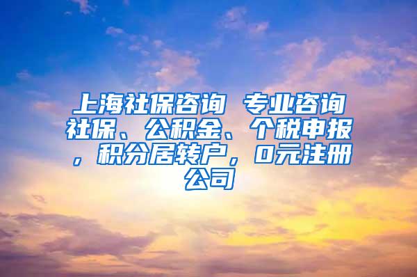 上海社保咨询 专业咨询社保、公积金、个税申报，积分居转户，0元注册公司