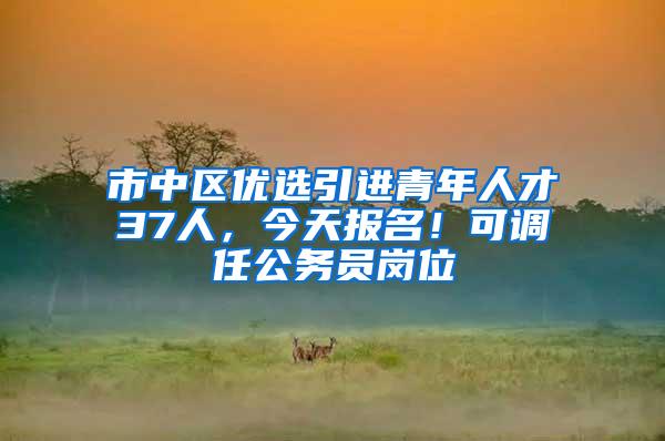 市中区优选引进青年人才37人，今天报名！可调任公务员岗位