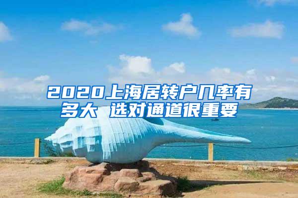 2020上海居转户几率有多大 选对通道很重要