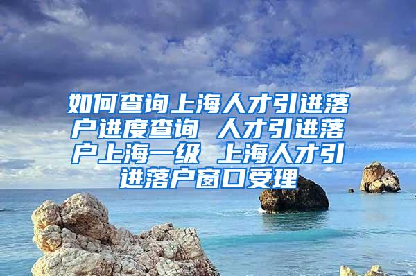 如何查询上海人才引进落户进度查询 人才引进落户上海一级 上海人才引进落户窗口受理