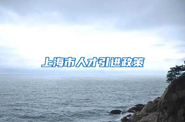 上海市人才引进政策