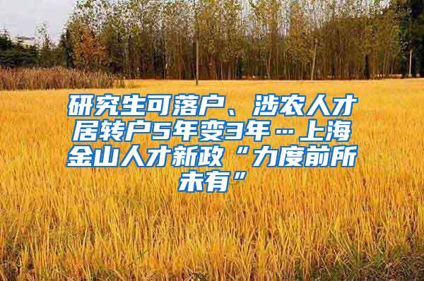 研究生可落户、涉农人才居转户5年变3年…上海金山人才新政“力度前所未有”