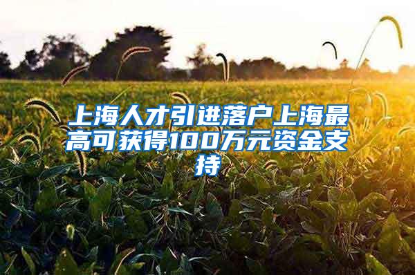 上海人才引进落户上海最高可获得100万元资金支持