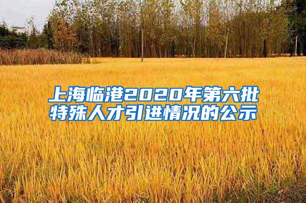 上海临港2020年第六批特殊人才引进情况的公示